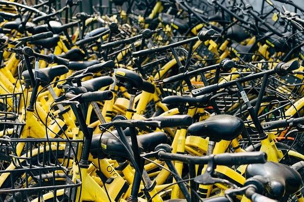 Les différents types de vélos disponibles à la location